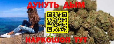стаф Можга