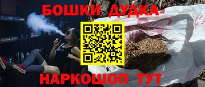 стаф Можга