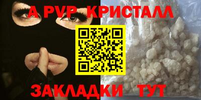 стаф Можга