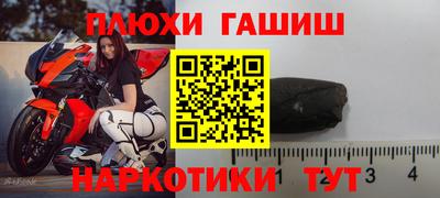 стаф Можга