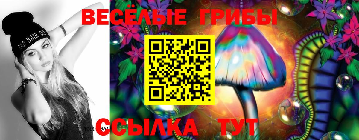 Галлюциногенные грибы GOLDEN TEACHER  Вход с VPN  Углич 